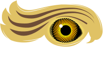 Hawkeye Aircraft Acquisitions